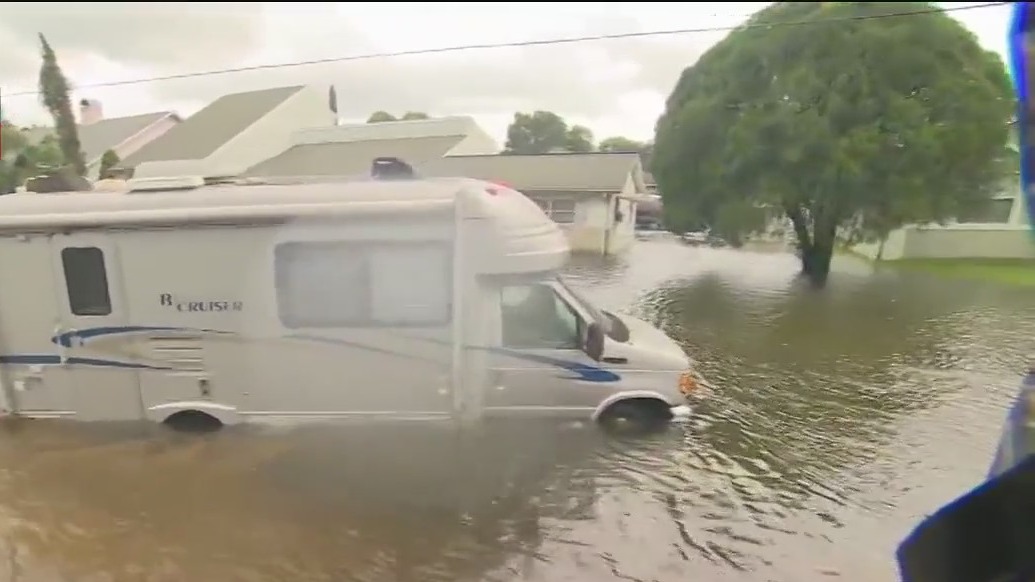 Rescue efforts underway in Crystal River